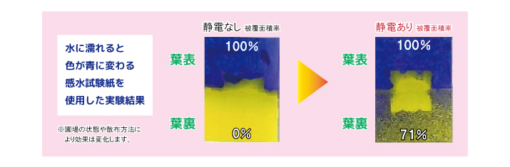 付着効果